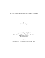 The molecular pathogenesis of skeletal muscle atrophy