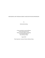 Noncanonical Wnt signaling in breast cancer initiation and progression