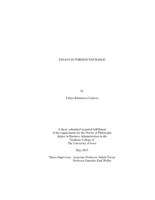 Essays in foreign exchange
