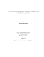 A tale of two RLPAs: studies of cell division in Escherichia coli and Pseudomonas aeruginosa
