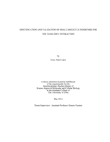 Identification and validation of small molecule inhibitors for the Tiam1/SDC1 interaction