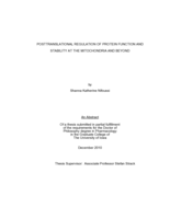 Posttranslational regulation of protein function and stability at the mitochondria and beyond