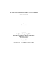 The role of dystroglycan in the prostate epithelium and prostate cancer