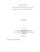 Beyond the cortex: implications of white matter connectivity for depression, cognition, and vascular disease