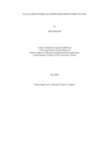 Evaluation of biogas generation from turkey waste