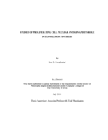 Studies of proliferating cell nuclear antigen and its role in translesion synthesis