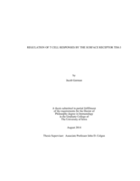 Regulation of T cell responses by the surface receptor Tim-3