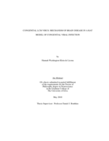 Congenital LCMV virus: mechanism of brain disease in a rat model of congenital viral infection