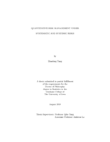Quantitative risk management under systematic and systemic risks