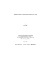 Biomass gasification in a pilot-scale system
