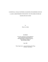 Conditional linkage methods--searching for modifier genes in a large Amish pedigree with known Von Willebrand disease major gene modification