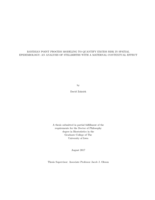 Bayesian point process modeling to quantify excess risk in spatial epidemiology: an analysis of stillbirths with a maternal contextual effect