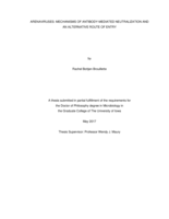 Arenaviruses: mechanisms of antibody-mediated neutralization and an alternative route of entry
