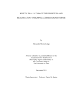 Kinetic evaluation of the inhibition and reactivation of human acetylcholinesterase