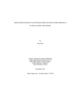 Dissection of molecular interactions of replication protein A in replication and repair