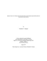 Reduction of tetrachloroethylene and trichloroethylene by magnetite revisted