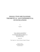 Dissolution mechanisms: theoretical and experimental investigations