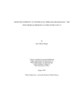 Detecting Ethnicity at Teotihuacan through Archaeology: the West Mexican Presence at Structure N1W5:19