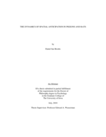 The dynamics of spatial anticipation in pigeons and rats