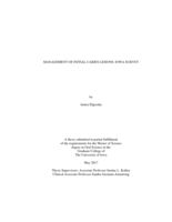 Management of initial caries lesions: Iowa survey