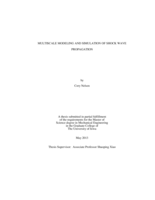Multiscale modeling and simulation of shock wave propagation