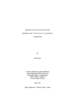 Manipulation of effector and memory cd8+ T cells via IL-2-antibody complexes