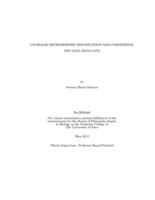 Cochlear neurosensory specification and competence: you gata have Gata