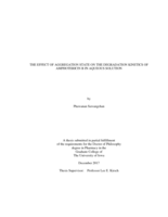 The effect of aggregation state on the degradation kinetics of Amphotericin B in aqueous solution