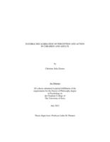Flexible recalibration of perception and action in children and adults