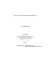 Molecular basis of Nod1 And Nod2 signaling