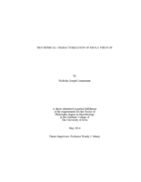 Biochemical characterization of Ebola virus GP
