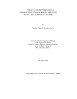 Association between visual characterization of root caries and histological severity In vitro