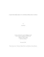Collective phenomena in confined interacting systems