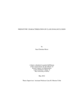 Phenotypic characterization of Class II malocclusion