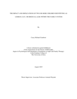 The impact and implications of two or more children identifying as lesbian, gay, or bisexual (LGB) within the family system