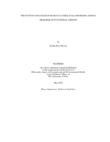 Prevention strategies for musculoskeletal disorders among high-risk occupational groups
