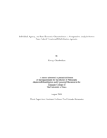 Individual, agency, and state economic characteristics: a comparative analysis across state-federal vocational rehabilitation agencies