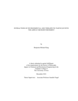 Interactions of environmental and therapeutic particles with the airway microenvironment