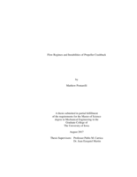 Flow regimes and instabilities of propeller crashback