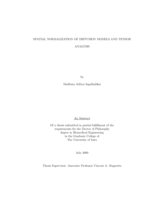Spatial normalization of diffusion models and tensor analysis