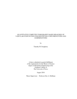 Quantitative computed tomography based measures of vascular dysfunction for identifying COPD phenotypes and subphenotypes
