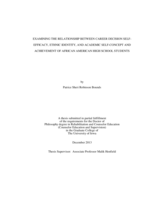 Examining the relationship between career decision self-efficacy, ethnic identity, and academic self-concept and achievement of African American high school students