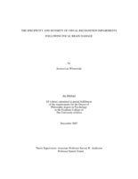 The specificity of visual recognition impairments following focal brain damage