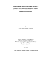 Role of bone marrow stromal antigen 2 (BST-2) in viral pathogenesis and breast cancer progression