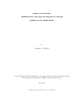 Evolution Of shape morphologic variation of the genus Undaria (Scleractinia, Agariciidae)