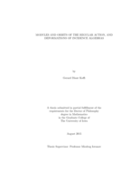 Modules and orbits of the regular action, and deformations of incidence algebras