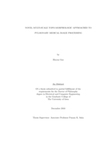 Novel multi-scale topo-morphologic approaches to pulmonary medical image processing