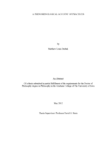 A phenomenological account of practices