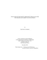 PCB126-induced metabolic disruption: effects on liver metabolism and adipocyte development