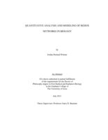 Quantitative analysis and modeling of redox networks in biology